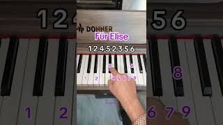 Für Elise ✨ pianotutorial piano [upl. by Hsatan]