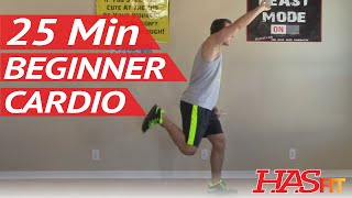 25 Min Beginner Cardio Workout at Home  Low Impact Cardio Exercises  Easy Aerobic Workouts [upl. by Rahr]