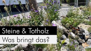 Was bringen Steine Totholz und andere Strukturen im Garten [upl. by Sanjay]