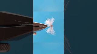 Fly Tying  Midge Spinner [upl. by Wrand]