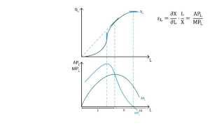 B11 Production in the short run  Production  Microeconomics [upl. by Notsud683]