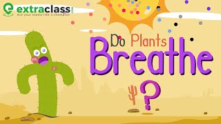 Do Plants Breathe  Extraclasscom [upl. by Shaner]