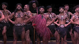 Super 8 Kapa Haka – Winner [upl. by Htebaras]