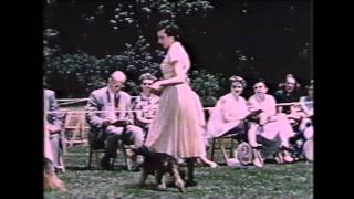 American Kennel Club  The dog show and you  1954 [upl. by Atteyram603]