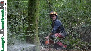 Abattage amp Débardage Forestier 2016  ETS Parmentier Frères [upl. by Elaen]