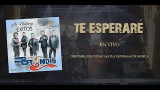 Te Esperare  Grupo Bryndis Video Oficial En Vivo  2021 [upl. by Halueb]