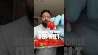 DIE SCHÄRFSTEN CHILIS 🌶️ rezept food [upl. by Enal585]