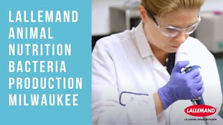 Lallemand Animal Nutrition Bacteria Production Milwaukee [upl. by Akihc]