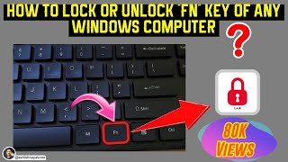 How to Disable amp Enable FN key on Laptop and PC Windows 10  Hindi [upl. by Haletta]