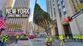 Installation Of NYC Rockefeller Center Christmas Tree 2024 ✨ New York City Christmas 2024 🌲 [upl. by Enavi]