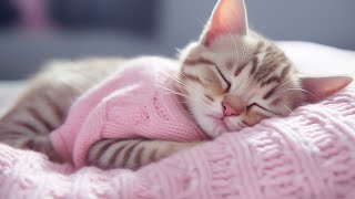 Music for Nervous Cats  Soothing Sleep Music Deep Relaxation Music For Your Pet [upl. by Avad]