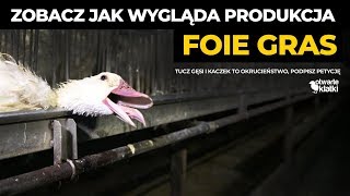 Jak powstaje foie gras Pracownik fermy gęsi ujawnia okrutne praktyki [upl. by Eldorado985]