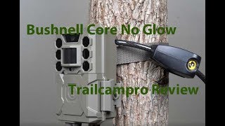 Bushnell Core No Glow Review Trailcampro [upl. by Etiragram]