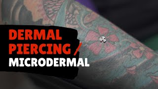 Dermal Piercing Microdermal  Body Piercing  Proses Cara Tindik [upl. by Akinod]