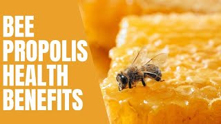 Bee Propolis and its Amazing Health Benefits [upl. by Moyer]