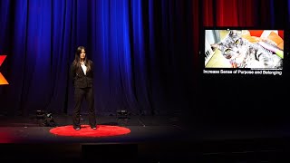 Cats Companion or Commensalist  Vy Le  TEDxOlympiaHighSchool [upl. by Stevie]