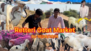 Retteri Goat Market 2024🐐 Bakrid Santhai on 16062024  Heavy Size Andhra Guntur Goat sheep [upl. by Yadnil]