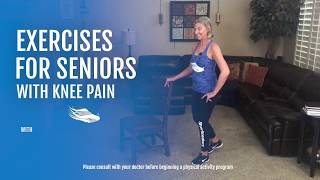 Stair Walking Exercises for Seniors  Boost Your Mobility [upl. by Eob]