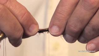 Tying a Tube lake Leech Trout Fly [upl. by Nitaf]