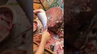 Fish cutting peeshtrending 😋 [upl. by Obeng]