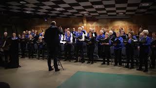 Jubileum concert gemengd koor Excelsior 115 jaarYou raise me up [upl. by Metzger]