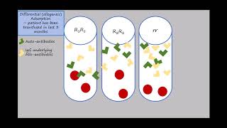 Adsorption Animation Updated Source [upl. by Anaujat586]