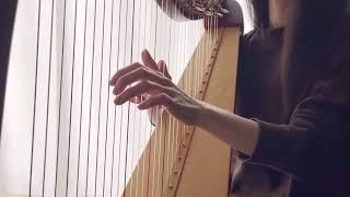 Planxty McClancy  Irish harp [upl. by Aibar]