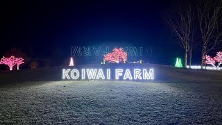 Koiwai Farm Winter Illumination Iwate  小岩井農場 🌃 [upl. by Ahsinned]