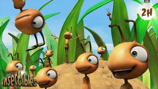 Ants At A Picnic  🐛 Antiks amp Insectibles 🐜  Funny Cartoons for Kids  Moonbug [upl. by Nosiddam]