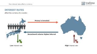 Economic indicators and their impact on currencies  tradimo [upl. by Eelahs]