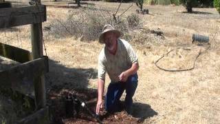 Drip Irrigation Tips amp Tricks With Farmer Fred [upl. by Steffane]