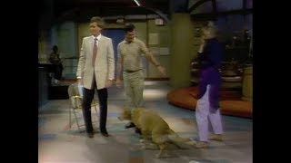 Stupid Pet Tricks on Letterman August 10 1982 [upl. by Letreece]