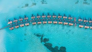 Ozen Life Maadhoo Luxury holiday in the Maldives [upl. by Karon]