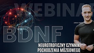 BDNF  Wpływ na Neuroplastyczność i Codzienne Funkcjonowanie [upl. by Wiltsey]