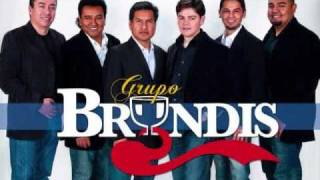 Grupo Bryndis Mix  Album 2009  2010Cumbiasby Checoman [upl. by Downes]