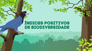 Biodiversidade [upl. by Pierson940]