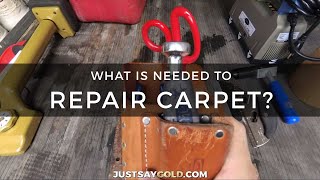 How To Repair Carpet Damage By Pets Business Promo [upl. by Ranie]