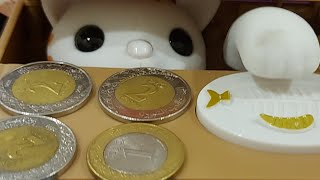 Rosela VLogs is live ORANGE PIGGY BANK EATING MY COINS SO FUNNY [upl. by Karlis]