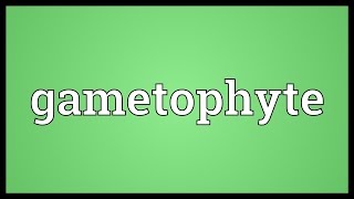 Gametophyte Meaning [upl. by Iren318]