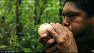 Phillip Glass  Aguas da Amazonia  Japurá River [upl. by Aunson]