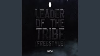 Leader Of The Tribe Freestyle [upl. by Annayat401]