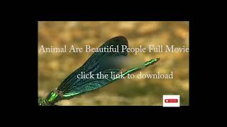 The Animal People  Official Trailer HD 2019 [upl. by Auqinu]