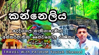 කන්නෙලිය අන්තර්ජාතික ජෛවගෝල රක්‍ෂිතය Kanneliya–Dediyagala–Nakiyadeniya🛺🛺🛺 [upl. by Clem]