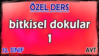 16 Bitkisel Dokular 1  Özel Ders 12 Sınıf [upl. by Green]