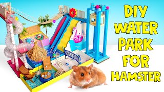 REAL HAMSTER JOYS  Cardboard Water Park With Entertainment [upl. by Alic]