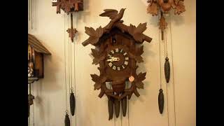 Quail 1 day cuckoo clock [upl. by Llerrem]