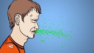 Can a Sneeze Kill You [upl. by Brosine]