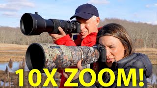 Sigma 60600 vs Sony 200600 BEST WILDLIFE ZOOM LENS [upl. by Hara17]