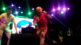 Blunted Vato En Groove show completo  Flow Fest [upl. by Schilling]