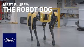 Meet Fluffy the Robot Dog  Innovation  Ford [upl. by Kimbra]